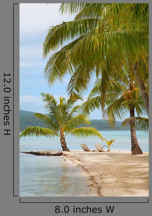 Tropical Island