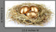 Golden Eggs Nest Wall Decal