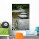 Footpath Wall Decal