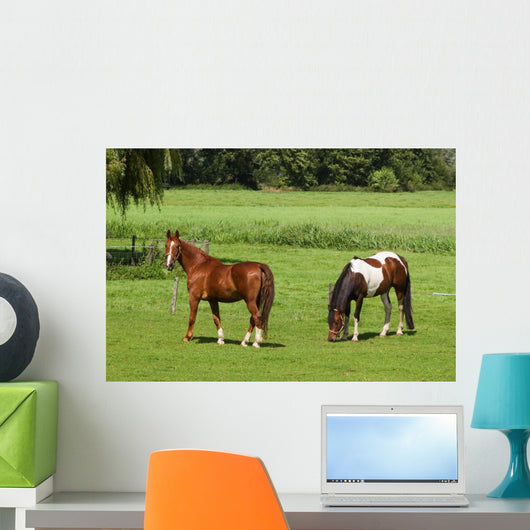 Grassland with Two Horses Wall Mural