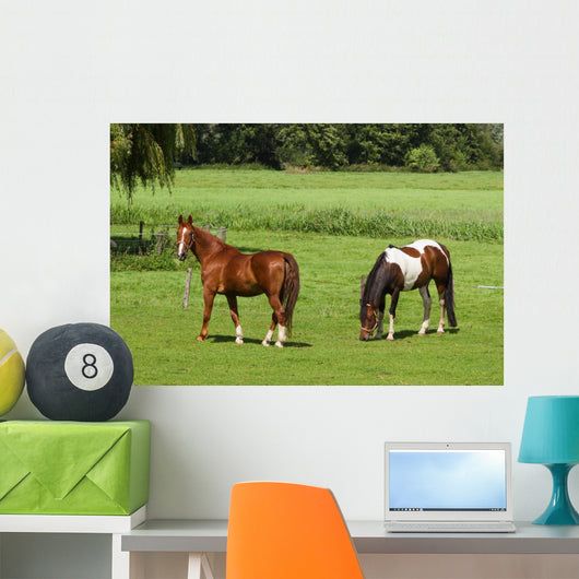 Grassland with Two Horses Wall Mural