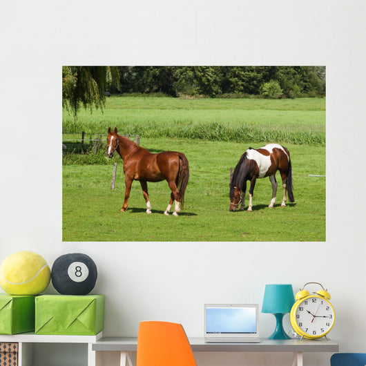 Grassland with Two Horses Wall Mural