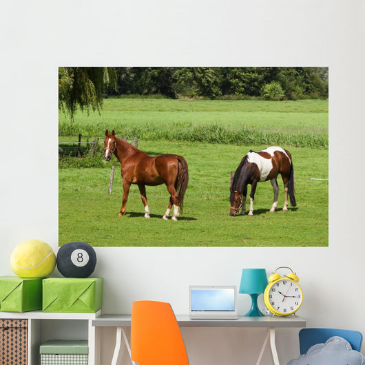 Grassland with Two Horses Wall Mural
