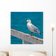 Seagull