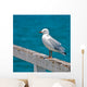 Seagull