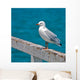 Seagull