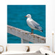 Seagull