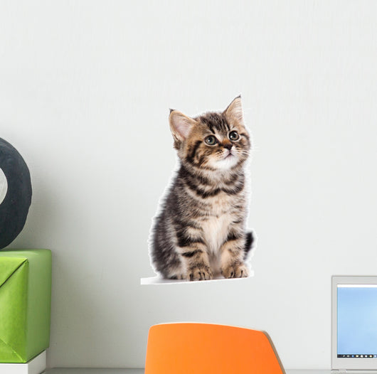 British Kitten Wall Decal