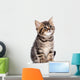 British Kitten Wall Decal