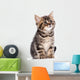 British Kitten Wall Decal