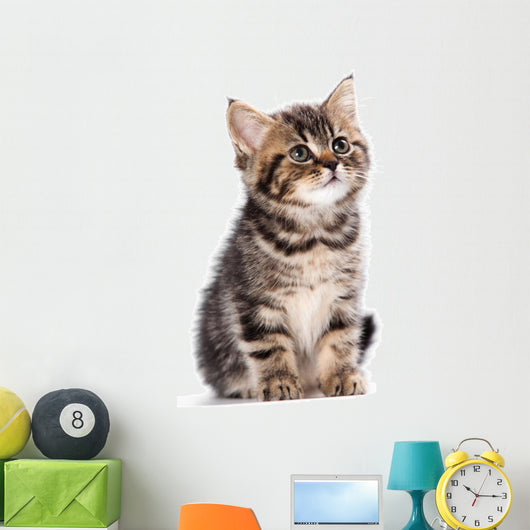 British Kitten Wall Decal