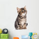 British Kitten Wall Decal