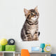 British Kitten Wall Decal