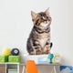 British Kitten Wall Decal