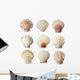 Pink and White Seashells Wall Decal Sticker Set
