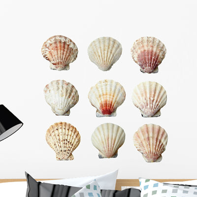 Pink and White Seashells Wall Decal Sticker Set shown on a wall