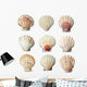 Pink and White Seashells Wall Decal Sticker Set