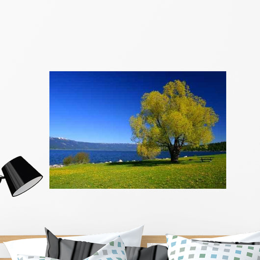 Down Lake Wall Decal