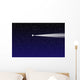 Night sky with comet Wall Mural