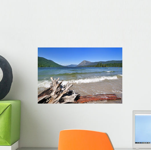 wenatchee lake Wall Mural