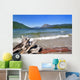 wenatchee lake Wall Mural