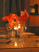 Dinner Table Setting Wall Mural