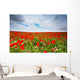 flowers field Wall Mural