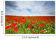 flowers field Wall Mural