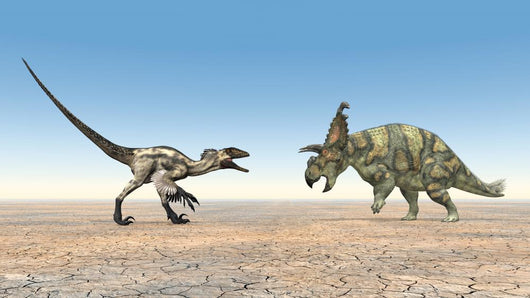 Deinonychus and Albertaceratops Wall Mural