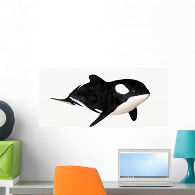 Orca shown on a wall