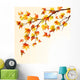 Autumn Maple Branch