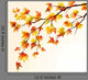 Autumn Maple Branch