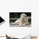 Male Lion Wall Mural