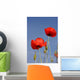 Mohnblumen Wall Mural