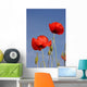 Mohnblumen Wall Mural