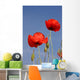 Mohnblumen Wall Mural