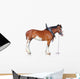 Clydesdale Horse Wall Decal