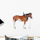 Clydesdale Horse Wall Decal