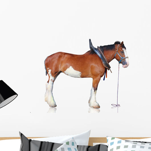 Clydesdale Horse Wall Decal