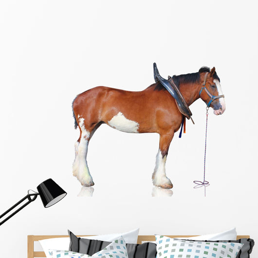 Clydesdale Horse Wall Decal