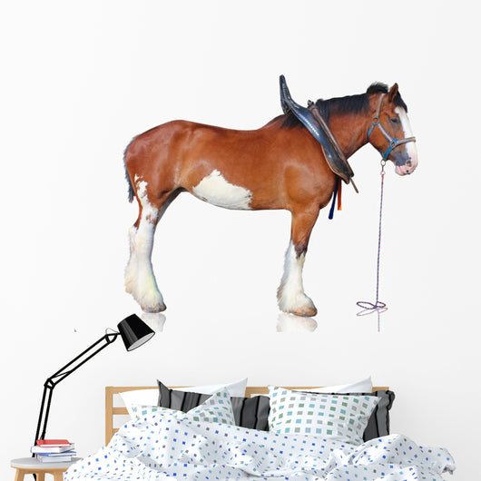 Clydesdale Horse Wall Decal