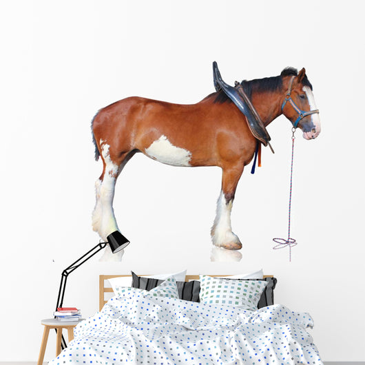 Clydesdale Horse Wall Decal