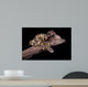 Royal Python Firefly on Piece of Wood Wall Mural