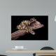 Royal Python Firefly on Piece of Wood Wall Mural