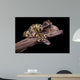 Royal Python Firefly on Piece of Wood Wall Mural