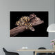 Royal Python Firefly on Piece of Wood Wall Mural
