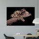 Royal Python Firefly on Piece of Wood Wall Mural
