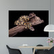 Royal Python Firefly on Piece of Wood Wall Mural