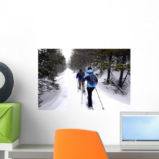 Snow shoeing Wall Mural