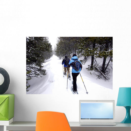 Snow shoeing Wall Mural